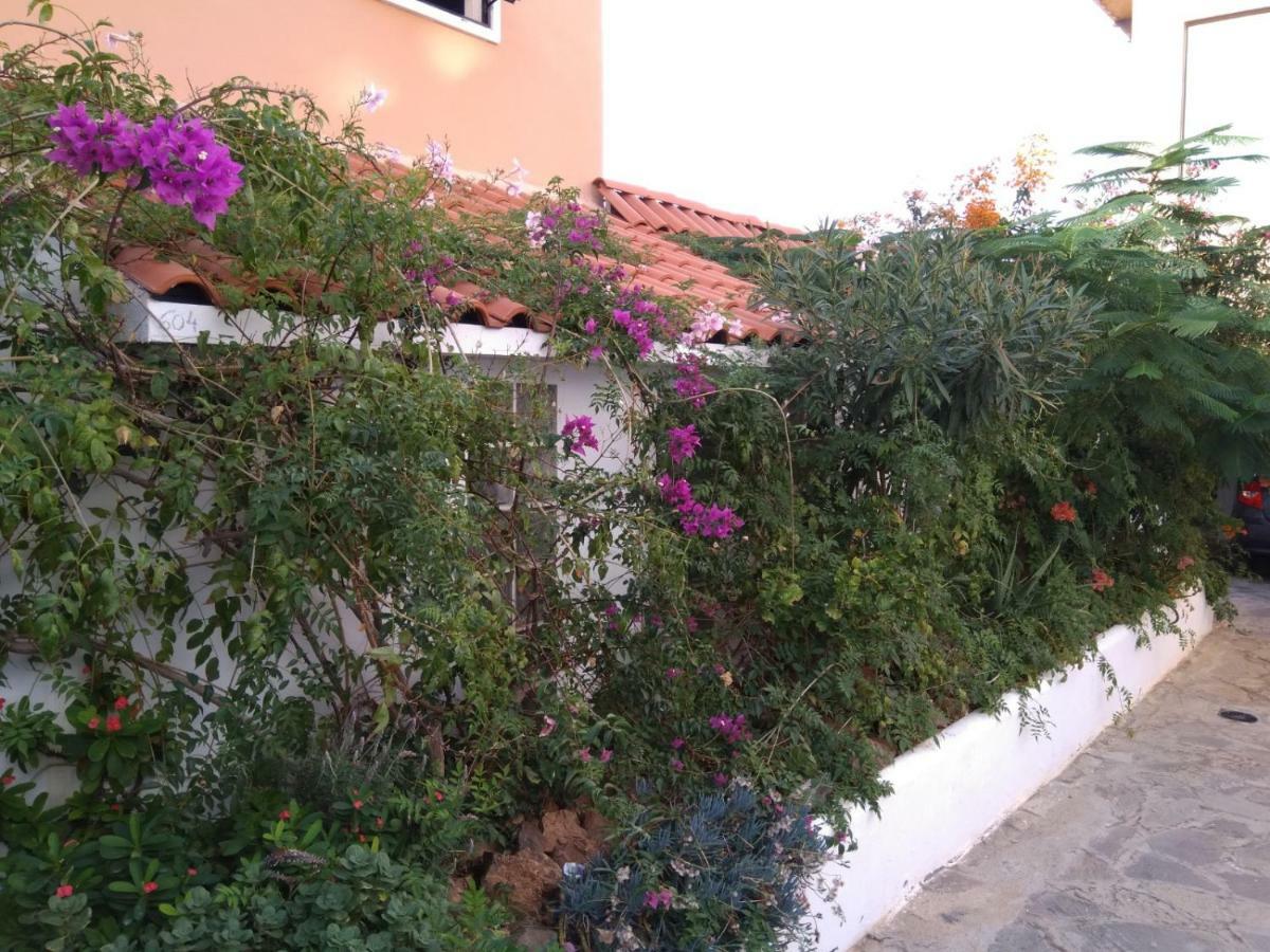Ocean View Apartment أذيخي المظهر الخارجي الصورة